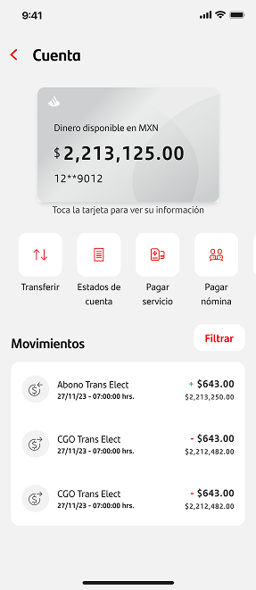 Account overview screen with entry point button