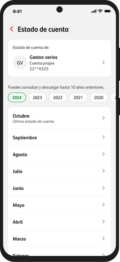 Account Statement screen on Android