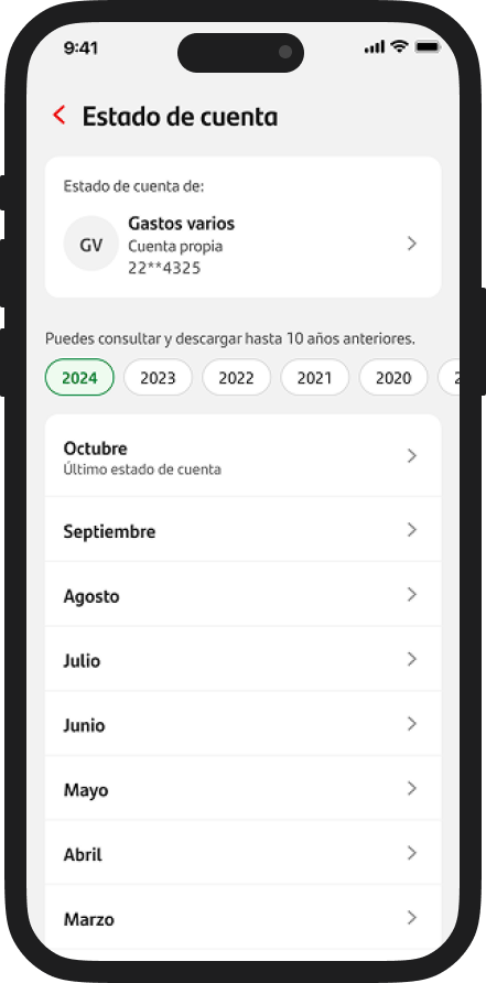 Account Statement screen on iPhone