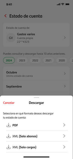 Format selection screen