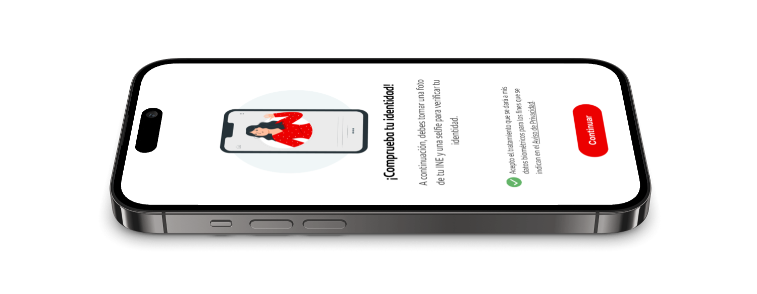 Identity verification instructions screen